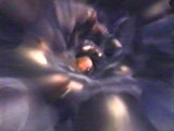 Click here to view clip
